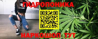 каннабис Дубна