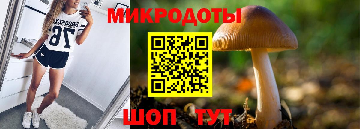 Кыштым  Галлюциногенные грибы Psilocybine cubensis  Псилоцибиновые грибы мухоморы  Вход с VPN 