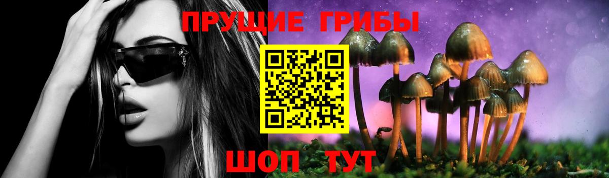 Псилоцибиновые грибы прущие грибы Кыштым