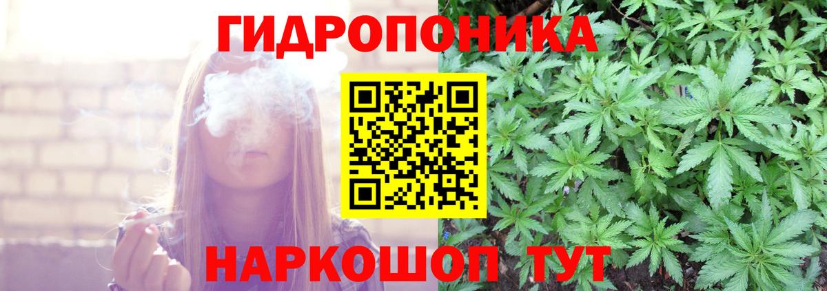 Каннабис конопля Кыштым
